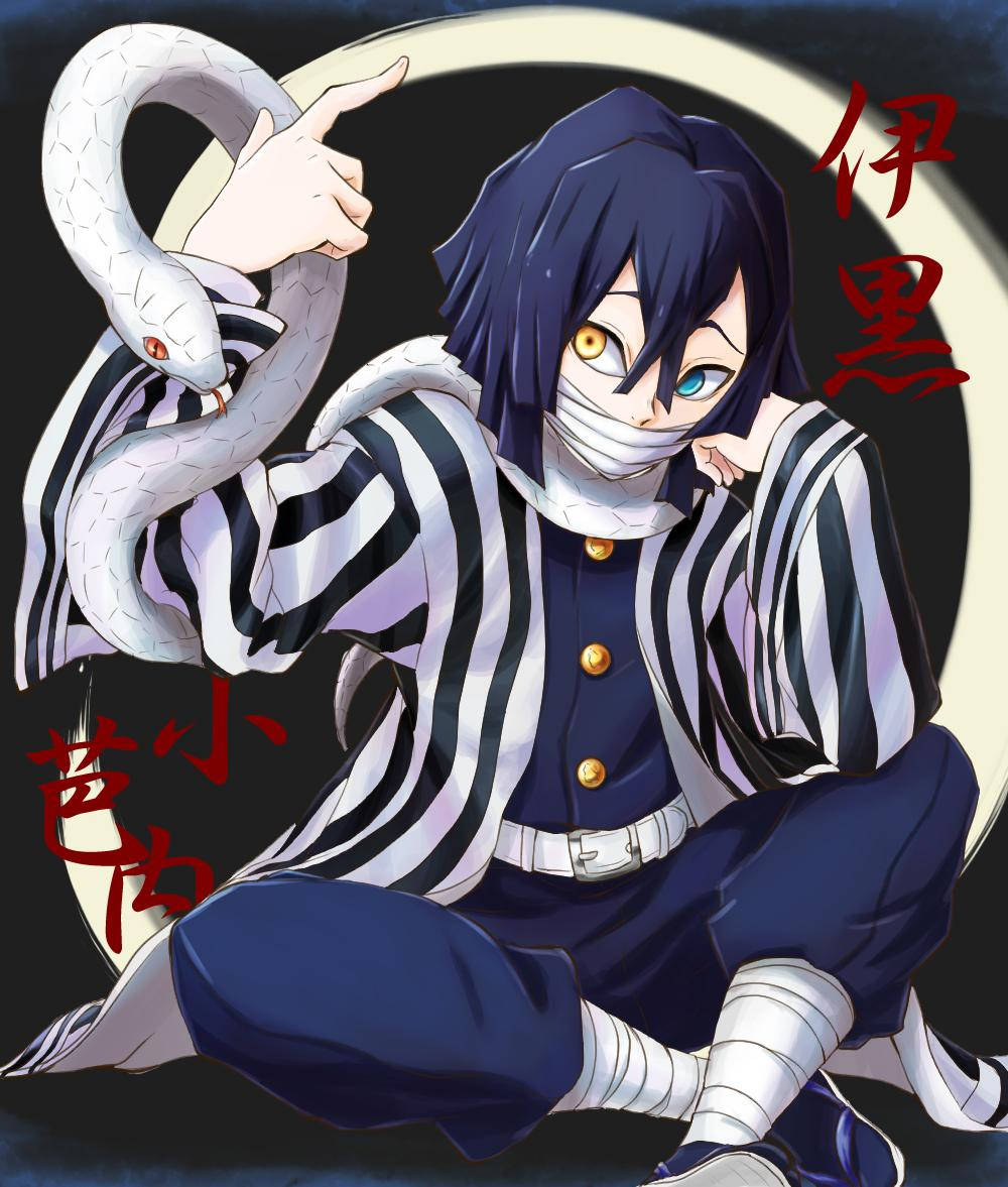 Obanai Iguro, heterochromatic eyes, white snake, SD Phone Wallpaper