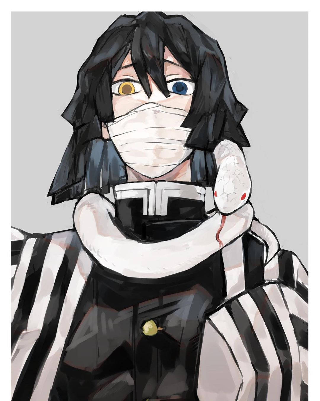 Obanai Iguro, heterochromatic eyes, white snake, HD Phone Wallpaper