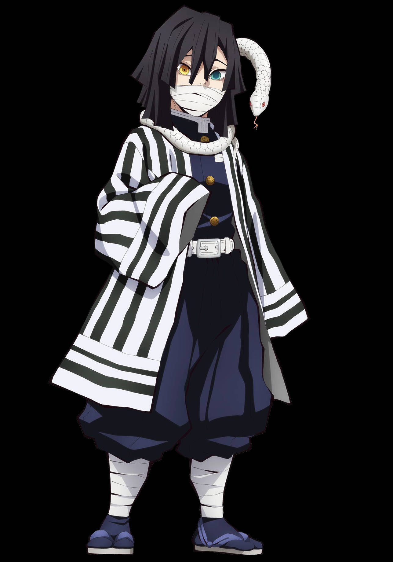 Obanai Iguro, black hair, heterochromatic eyes, HD Phone Wallpaper