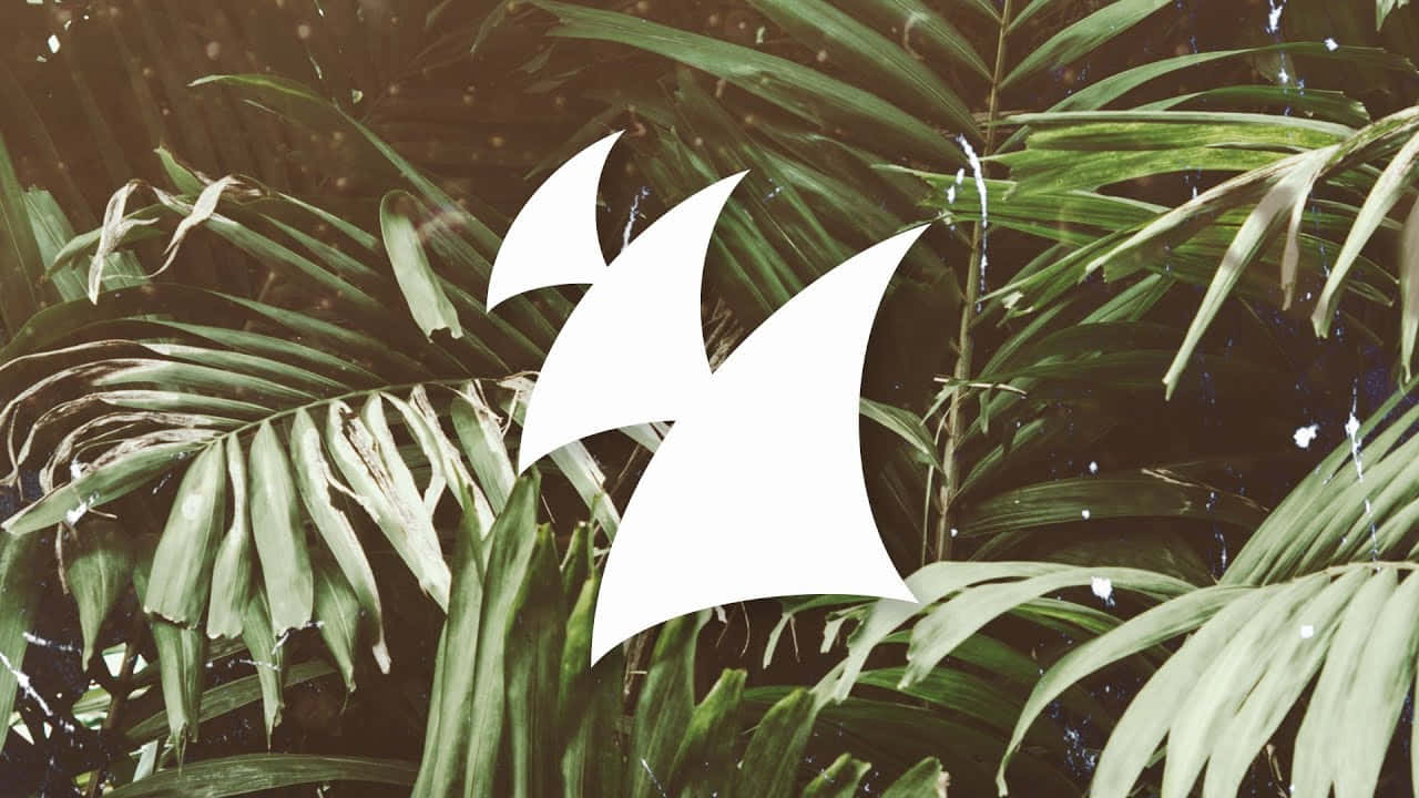 Subliminal Green Plants, white stylized sailboat logo, lush green palm fronds, HD Desktop Wallpaper