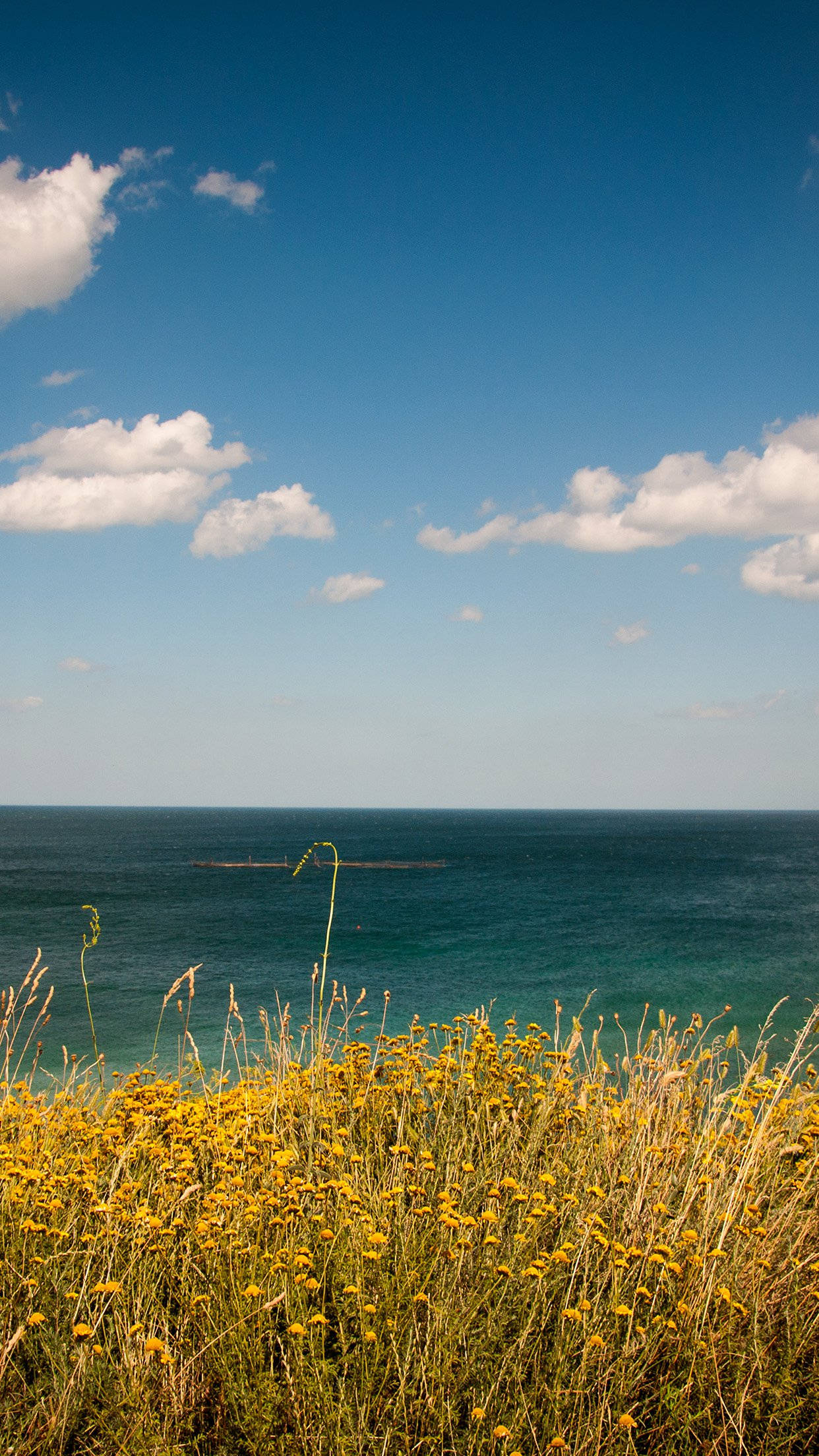 vast turquoise sea, bright blue sky, scattered white clouds, Full HD Phone Wallpaper