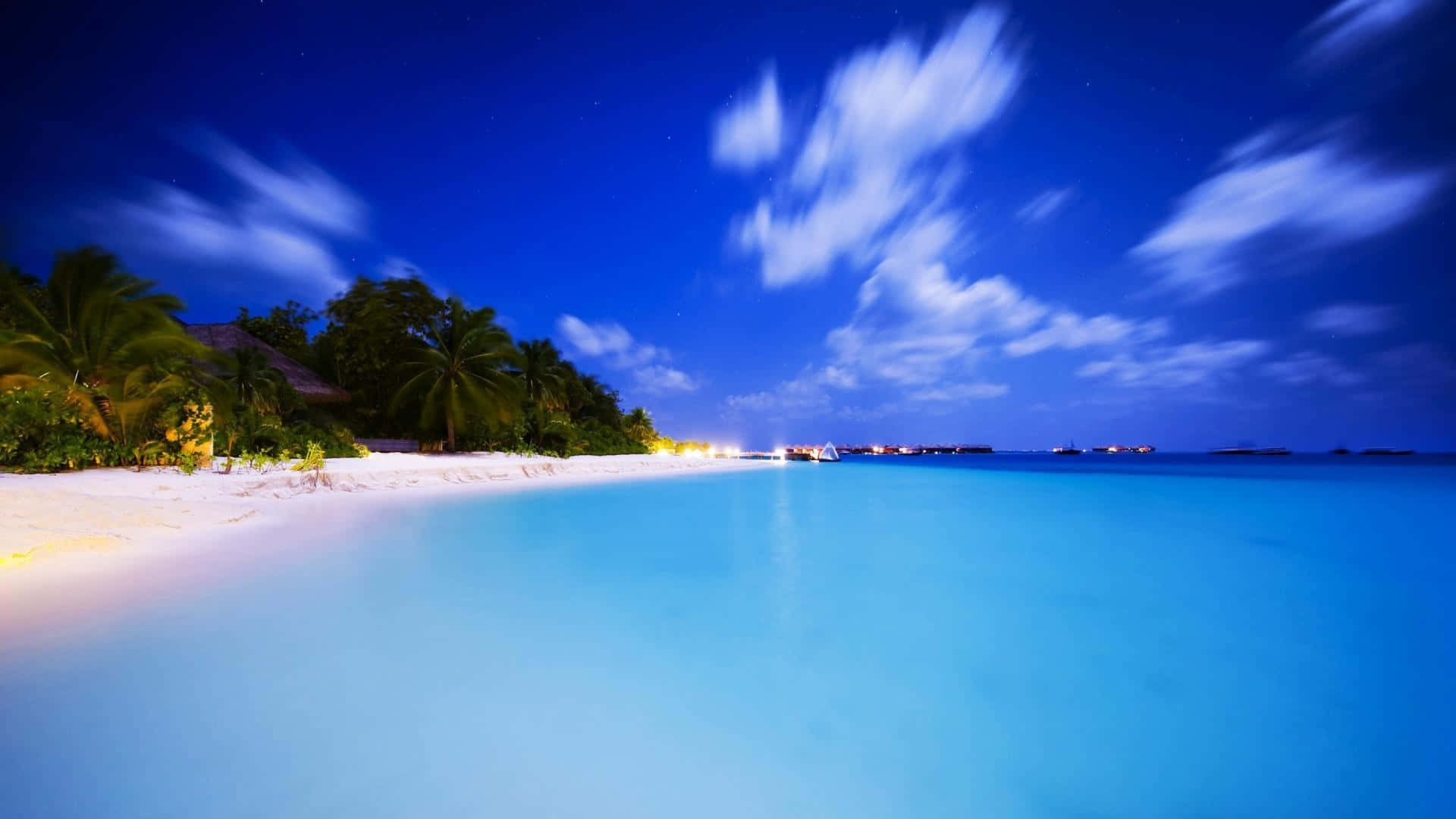 Ocean Beach, glowing blue water, palm trees, Full HD Desktop Wallpaper