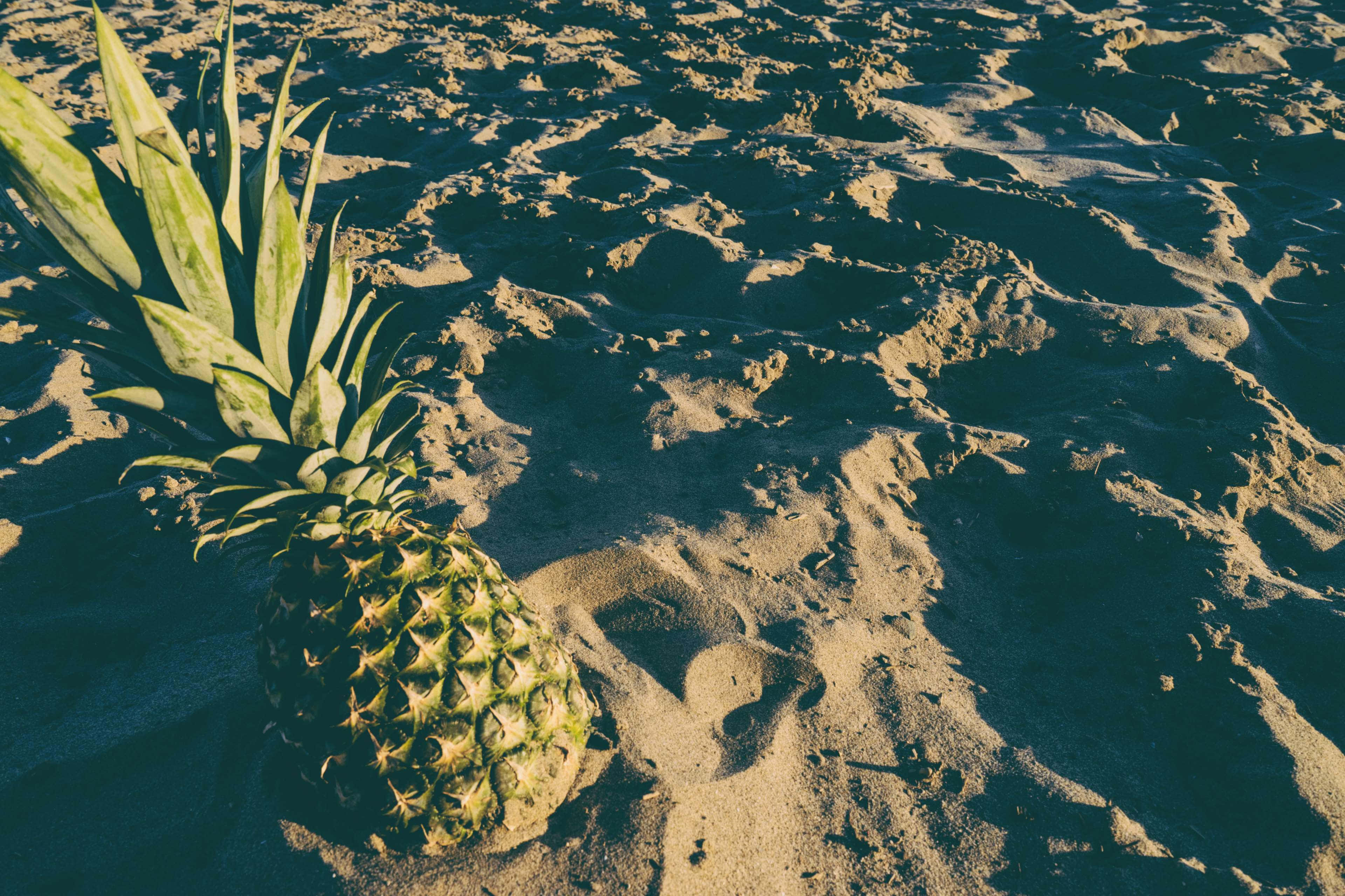 pineapple, textured sand, warm golden light, 4K Desktop Wallpaper