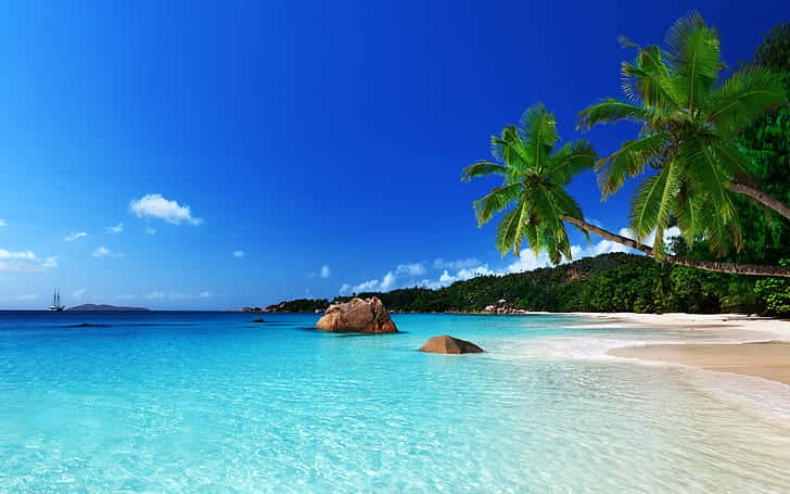 Ocean Beach, turquoise waters, white sand beach, SD Desktop Wallpaper