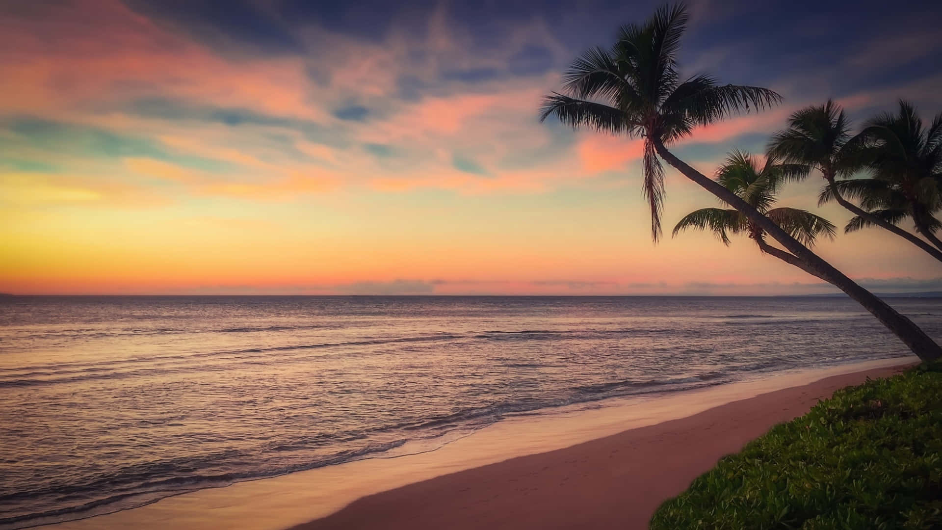 Ocean Beach, palm trees, sandy beach, Full HD Desktop Wallpaper