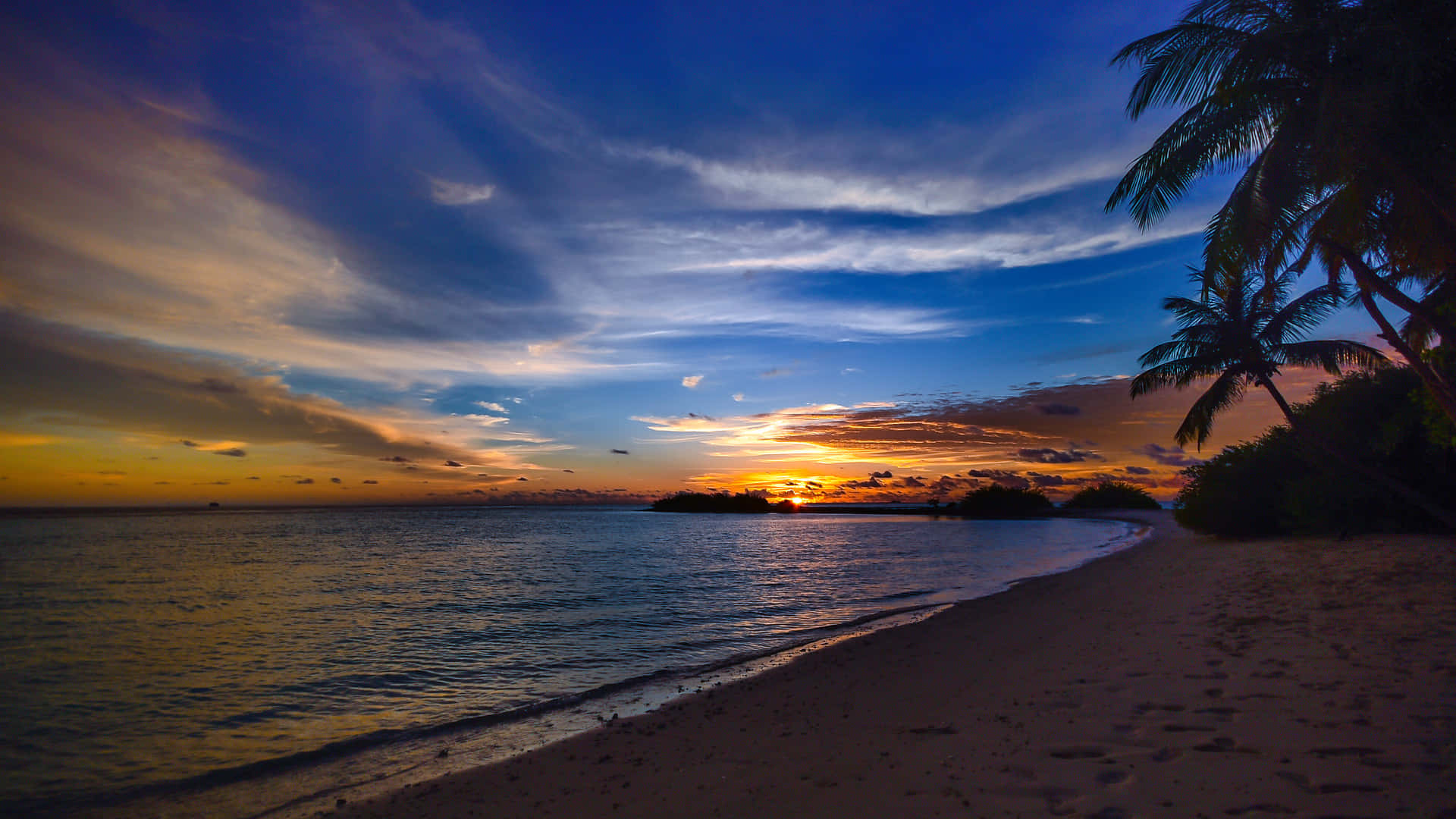 Ocean Beach, sunset, palm trees, Full HD Desktop Wallpaper