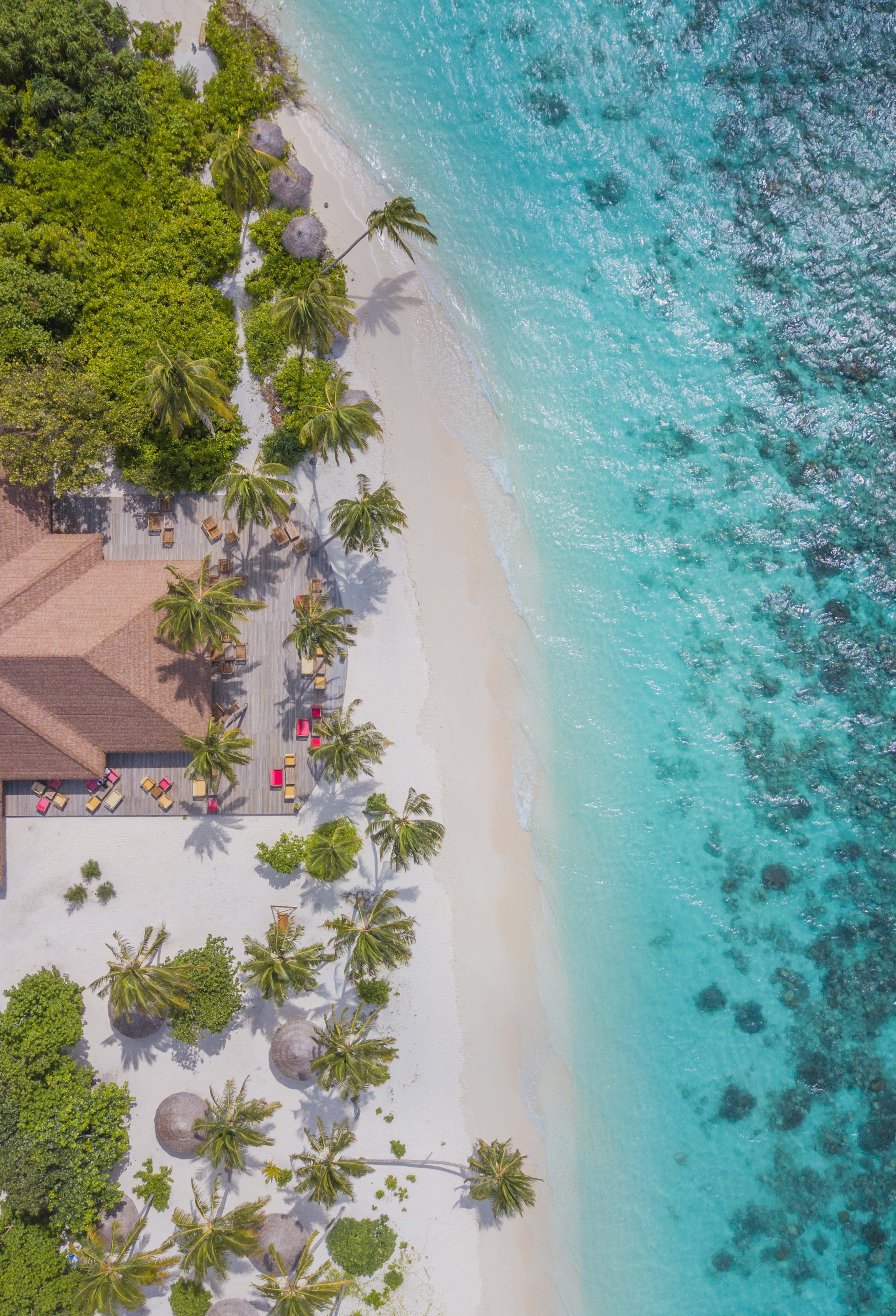 Ocean Beach, tropical beach resort, white sand, 5K Phone Wallpaper
