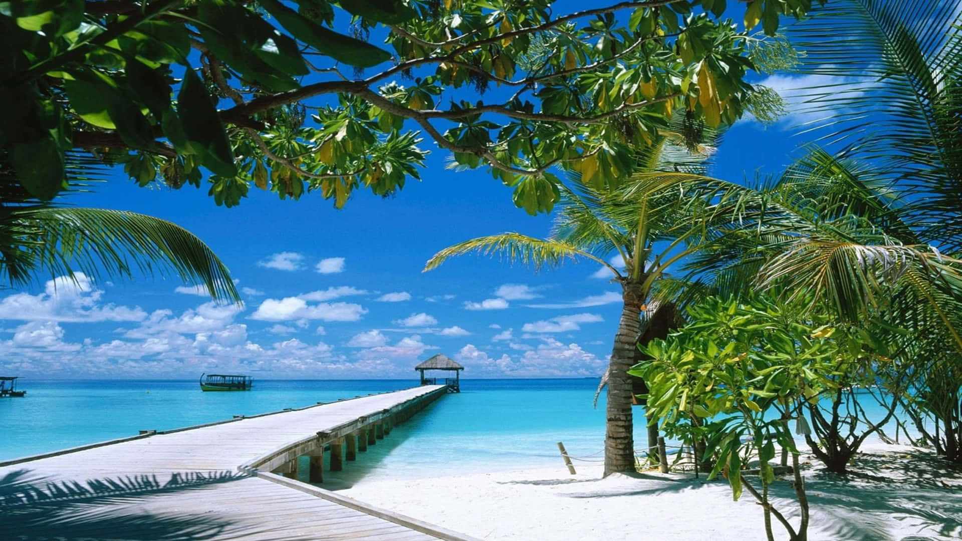 Ocean Beach, turquoise waters, bright blue sky, Full HD Desktop Wallpaper