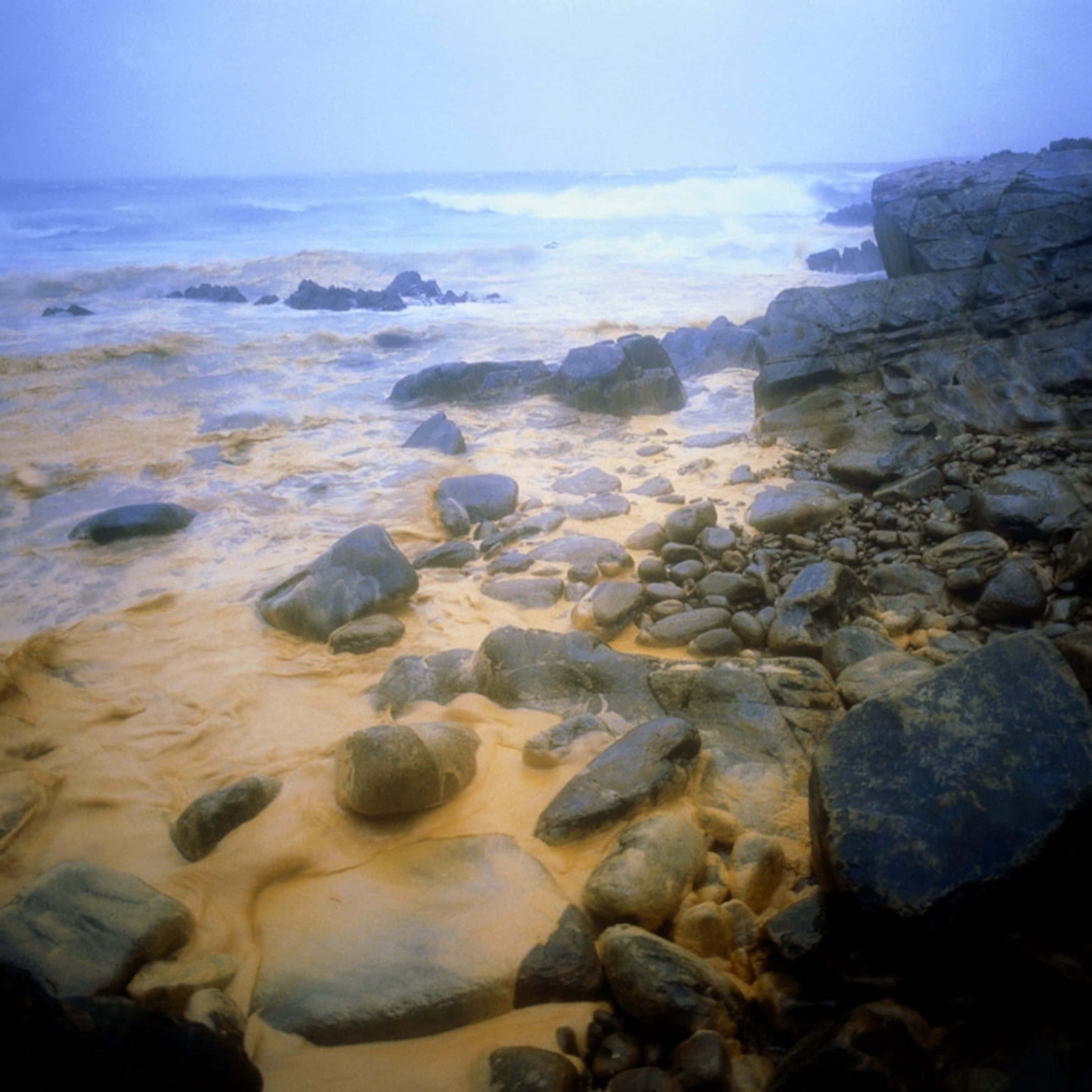 effervescent underwater biodiversity, calm ocean waves, rocky shore, 2K Desktop Wallpaper