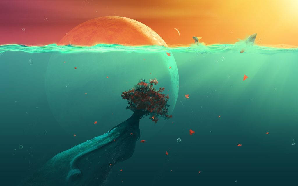 whale's back, tree with red blossoms, giant orange sun, SD Desktop Wallpaper