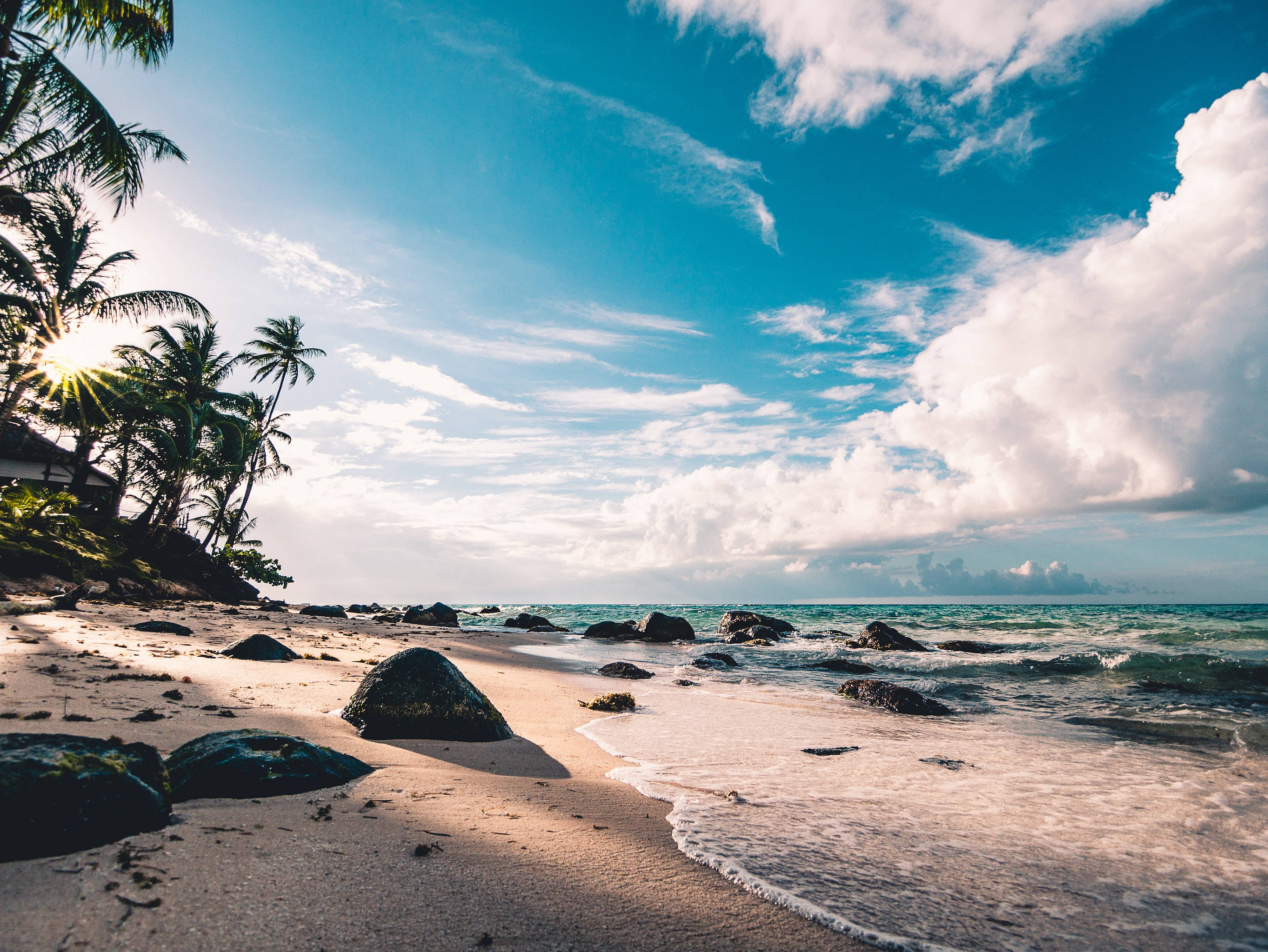 Big 3D Desktop Seaside, palm trees, sandy beach, 2K Desktop Wallpaper