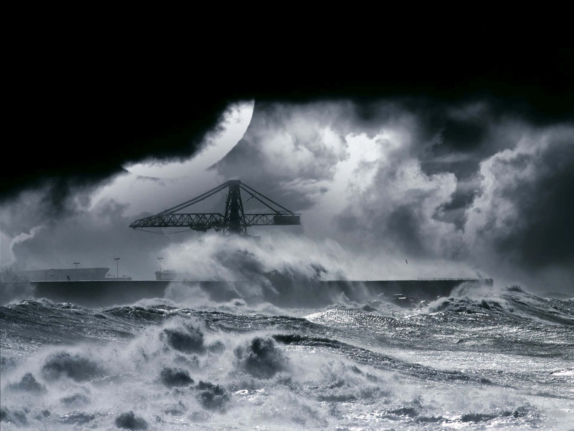Ocean Storm, crane, stormy sea, Full HD Desktop Wallpaper