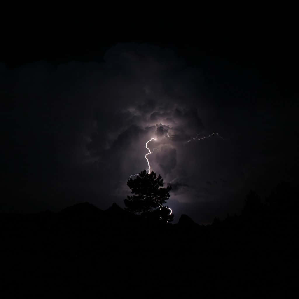 black and white storm, single tree, dark sky, SD Desktop Wallpaper