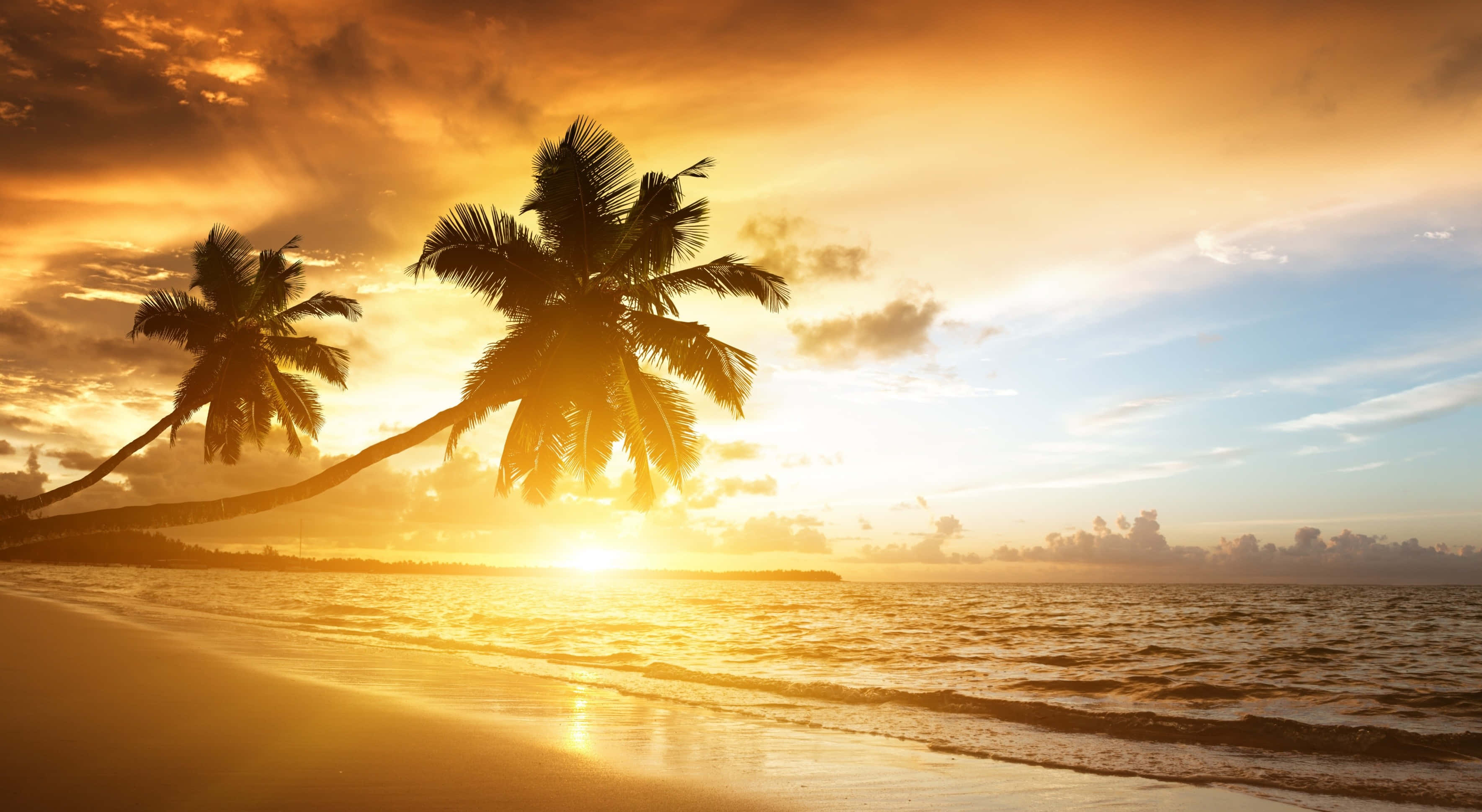 Golden sunset, silhouetted palm trees, tranquil tropical beach, 2K Desktop Wallpaper
