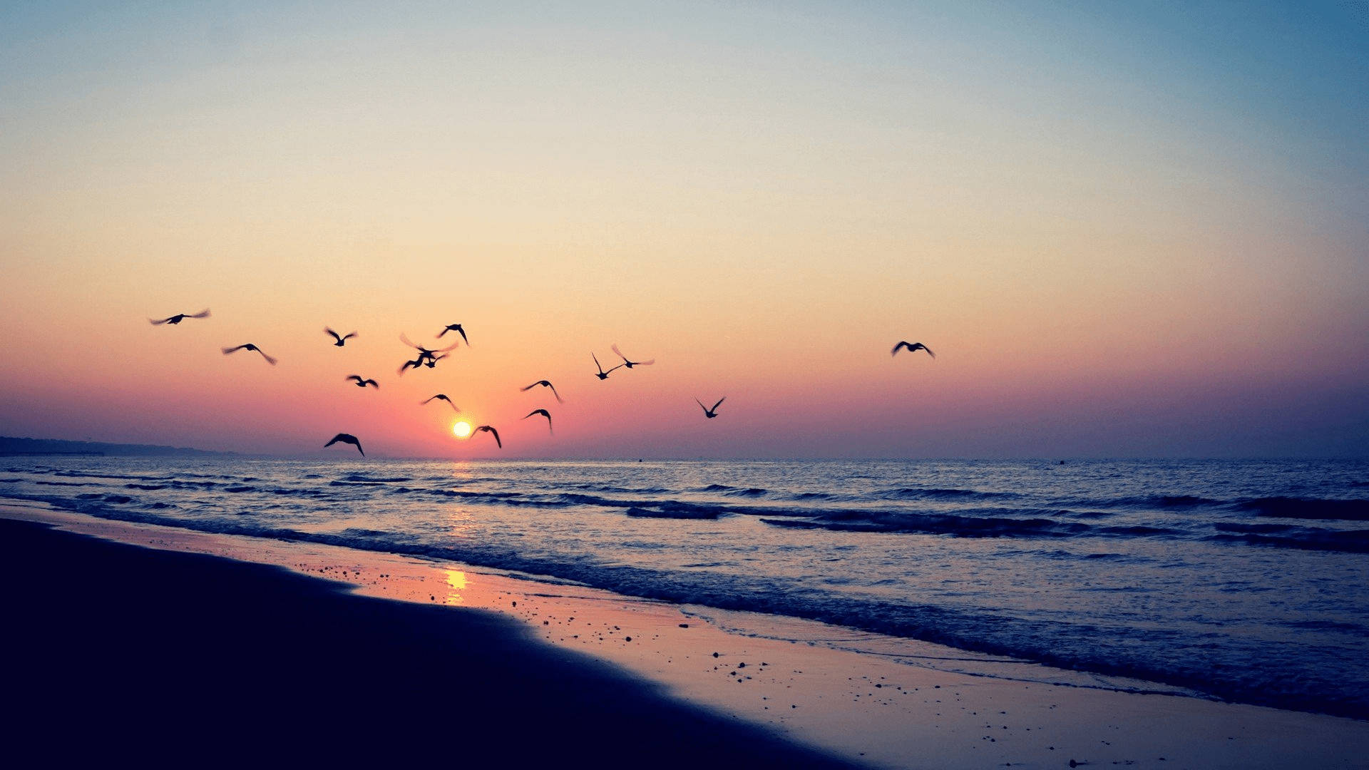 sunset, ocean, beach, Full HD Desktop Wallpaper