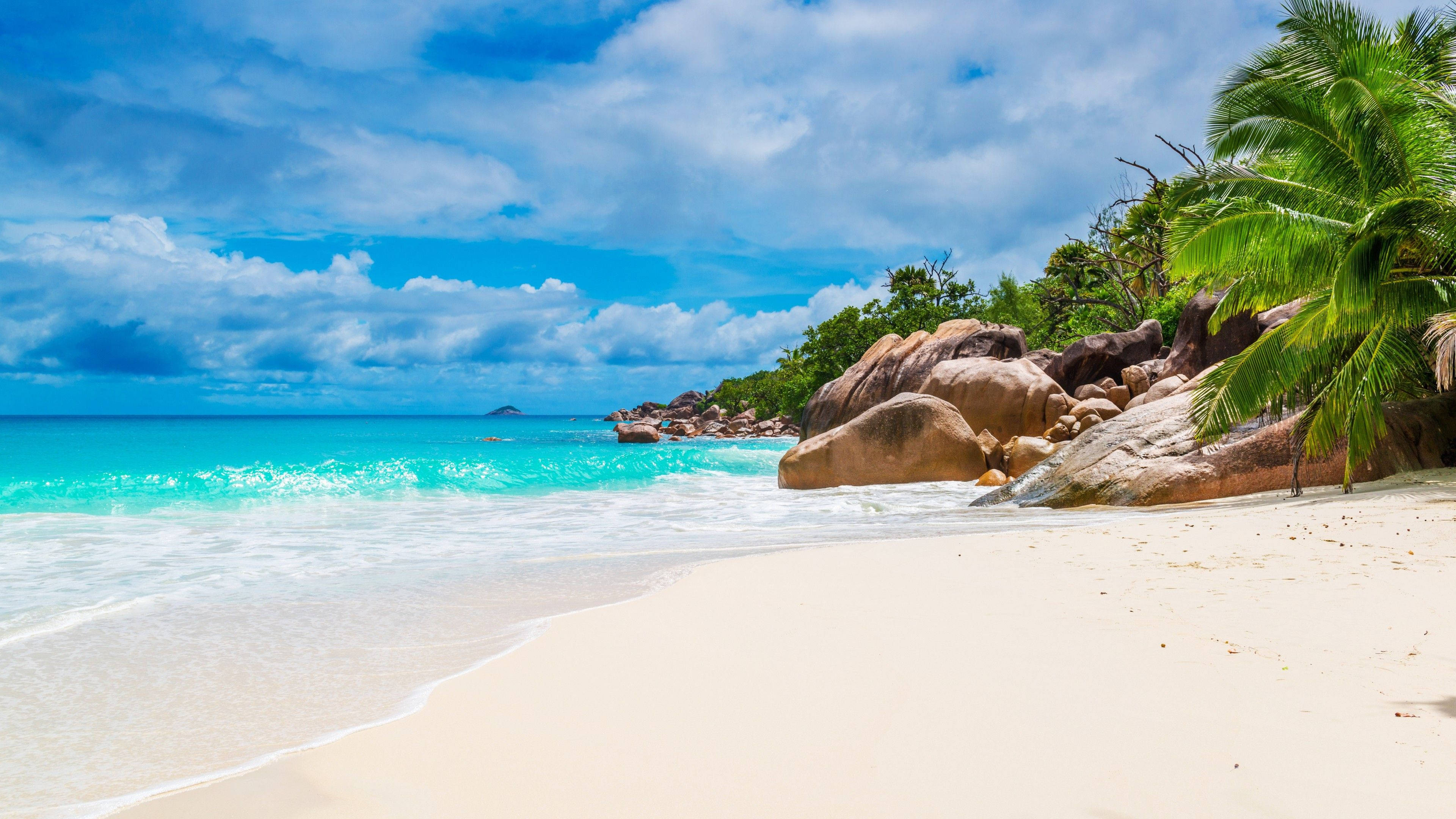 Turquoise waves, pristine white sand beach, lush palm trees, 4K Desktop Wallpaper