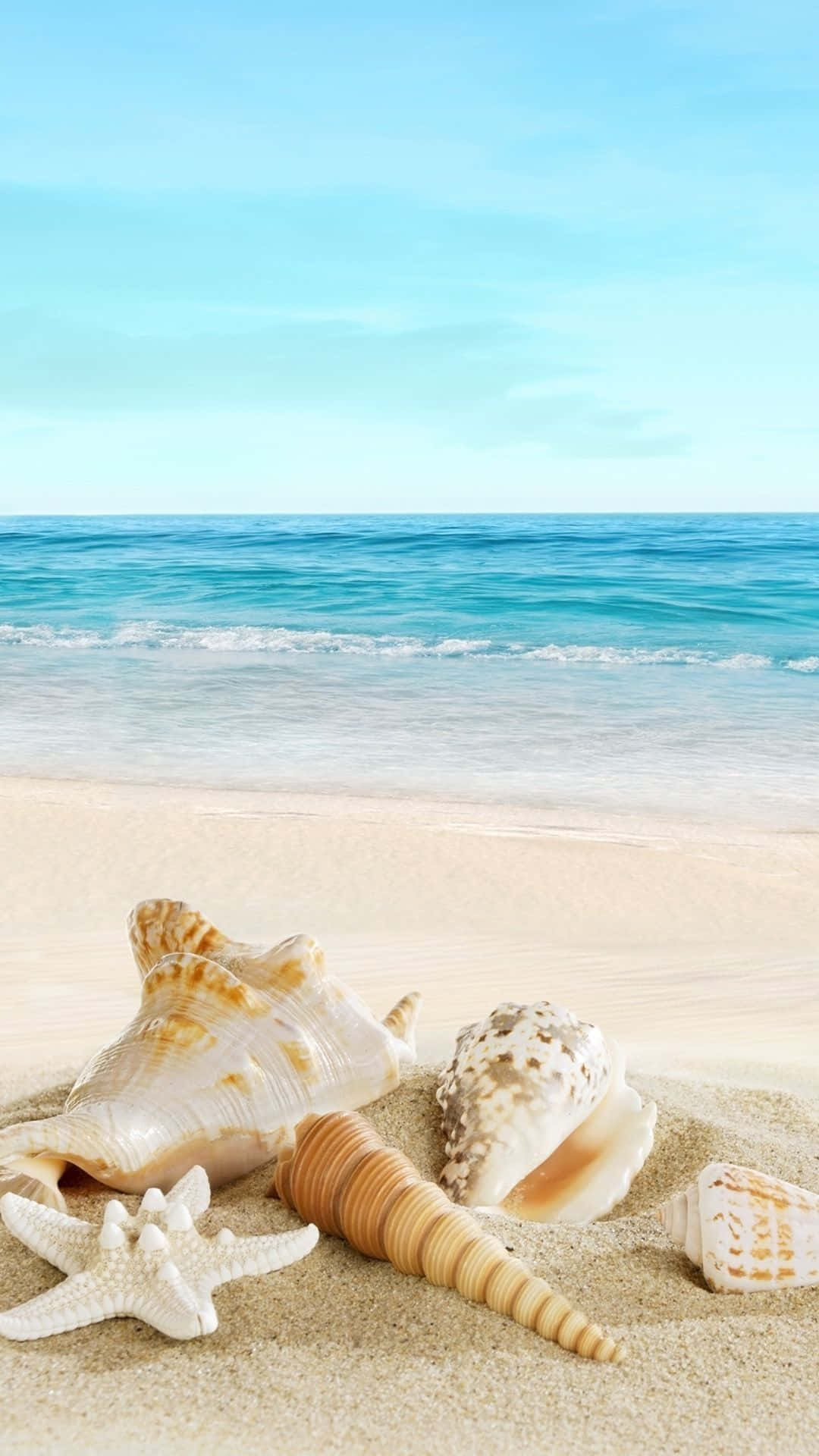 Cool Summer, aesthetic seashells, golden sand, Full HD Phone Wallpaper
