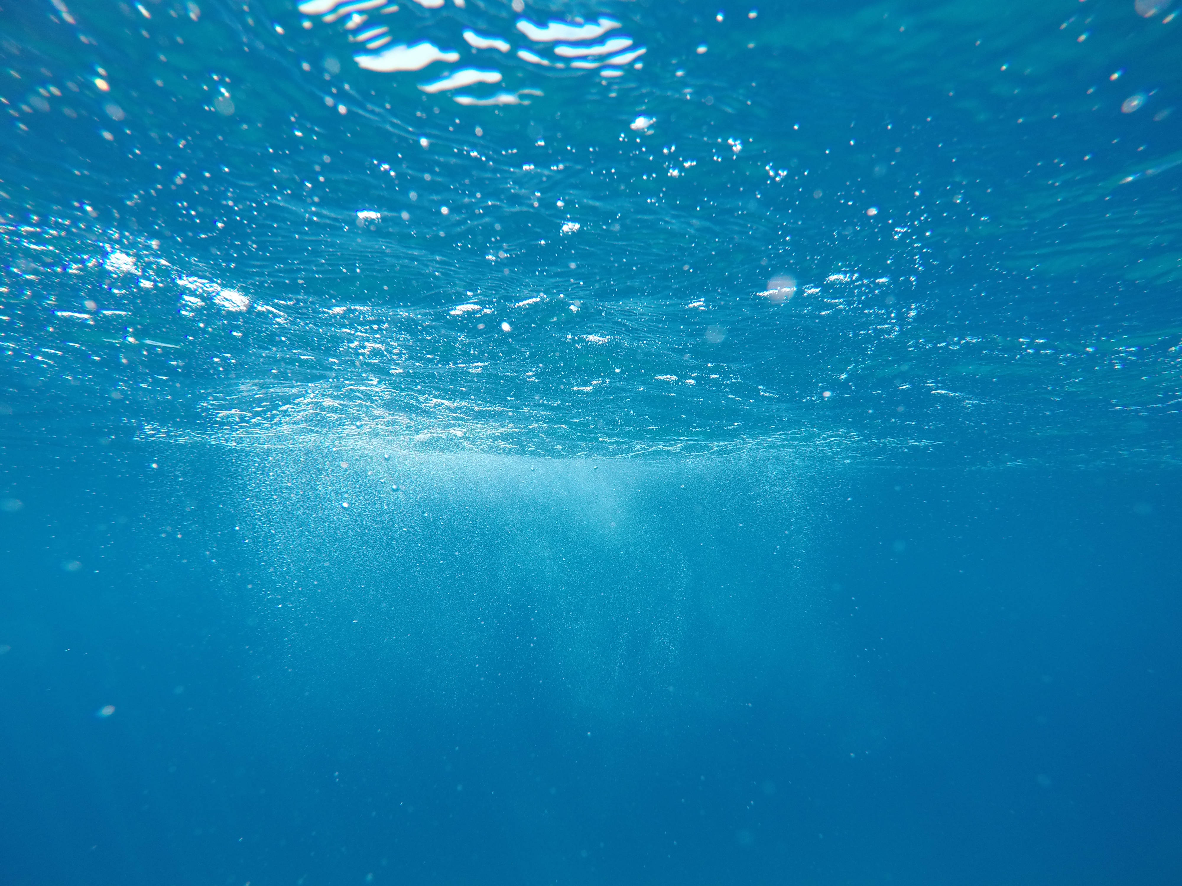 turquoise ocean, sunlight filters, floating particles, 4K Desktop Wallpaper