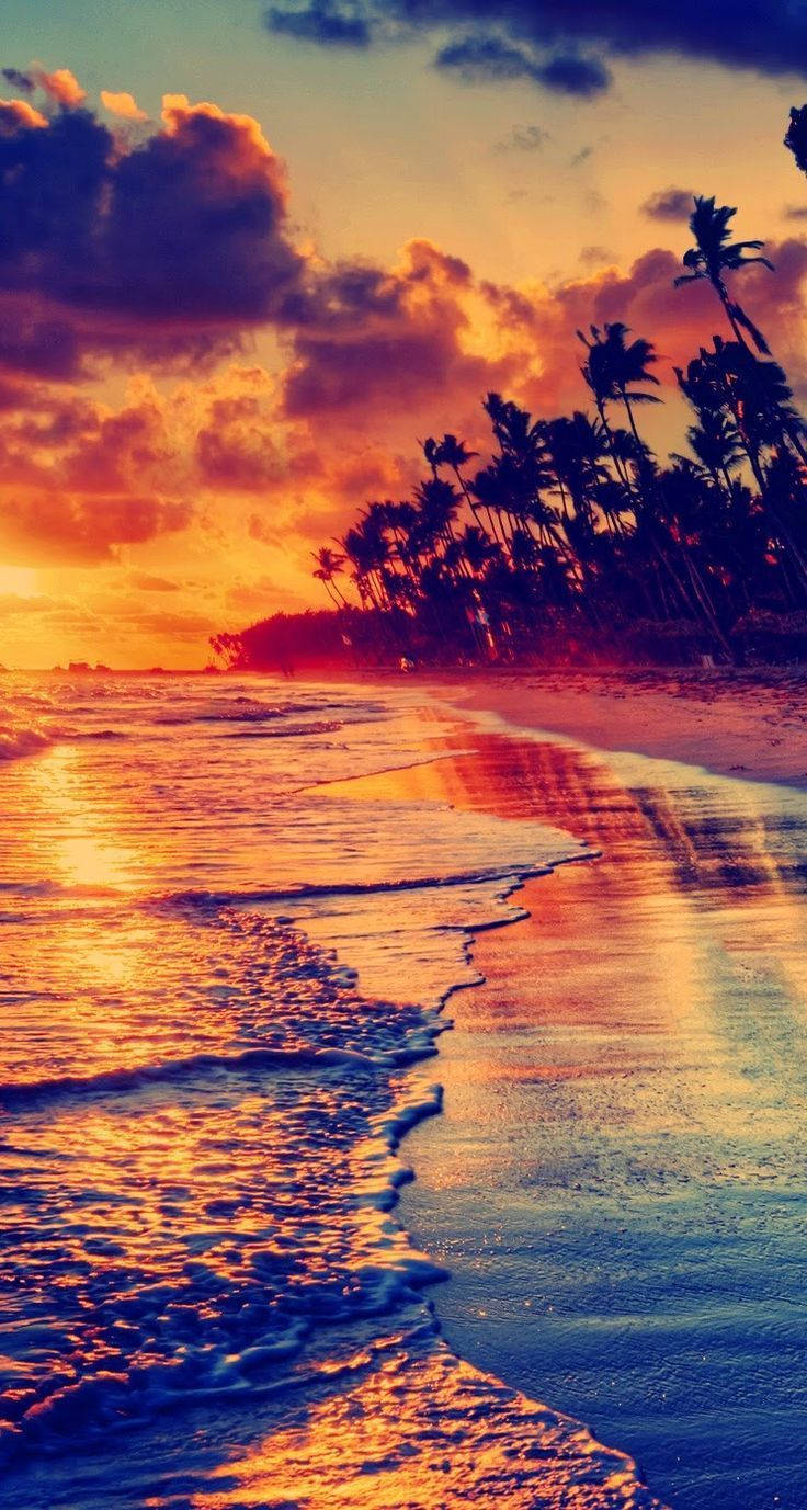 beach sunset, fiery orange, deep blue, HD Phone Wallpaper
