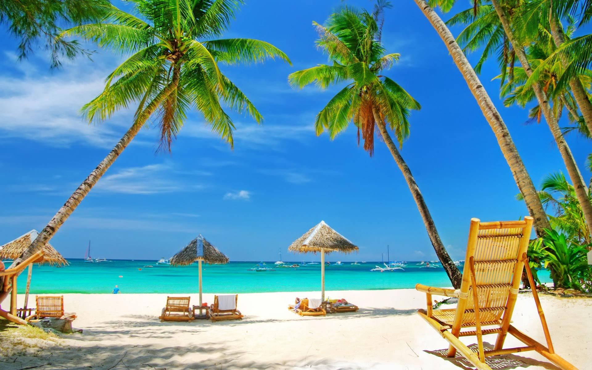 tropical beach paradise, palm trees, white sand, Full HD Desktop Wallpaper