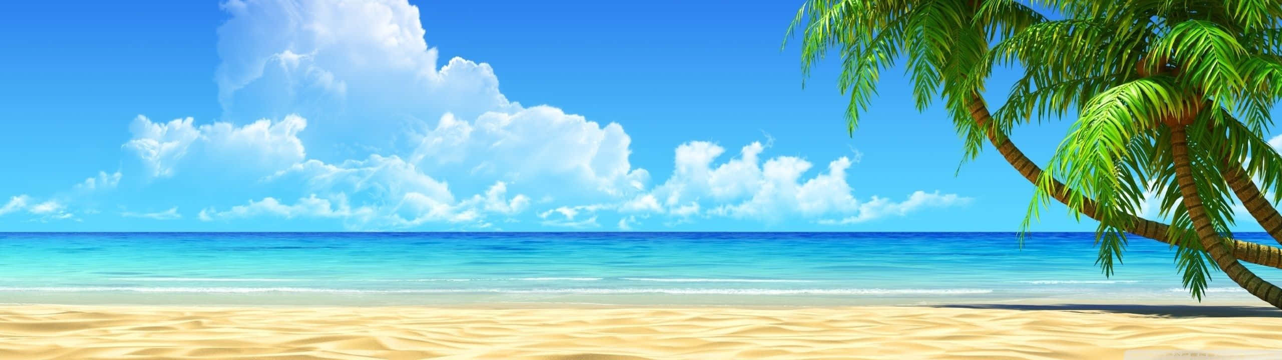 beach, golden sand, turquoise water, 2K Desktop Wallpaper