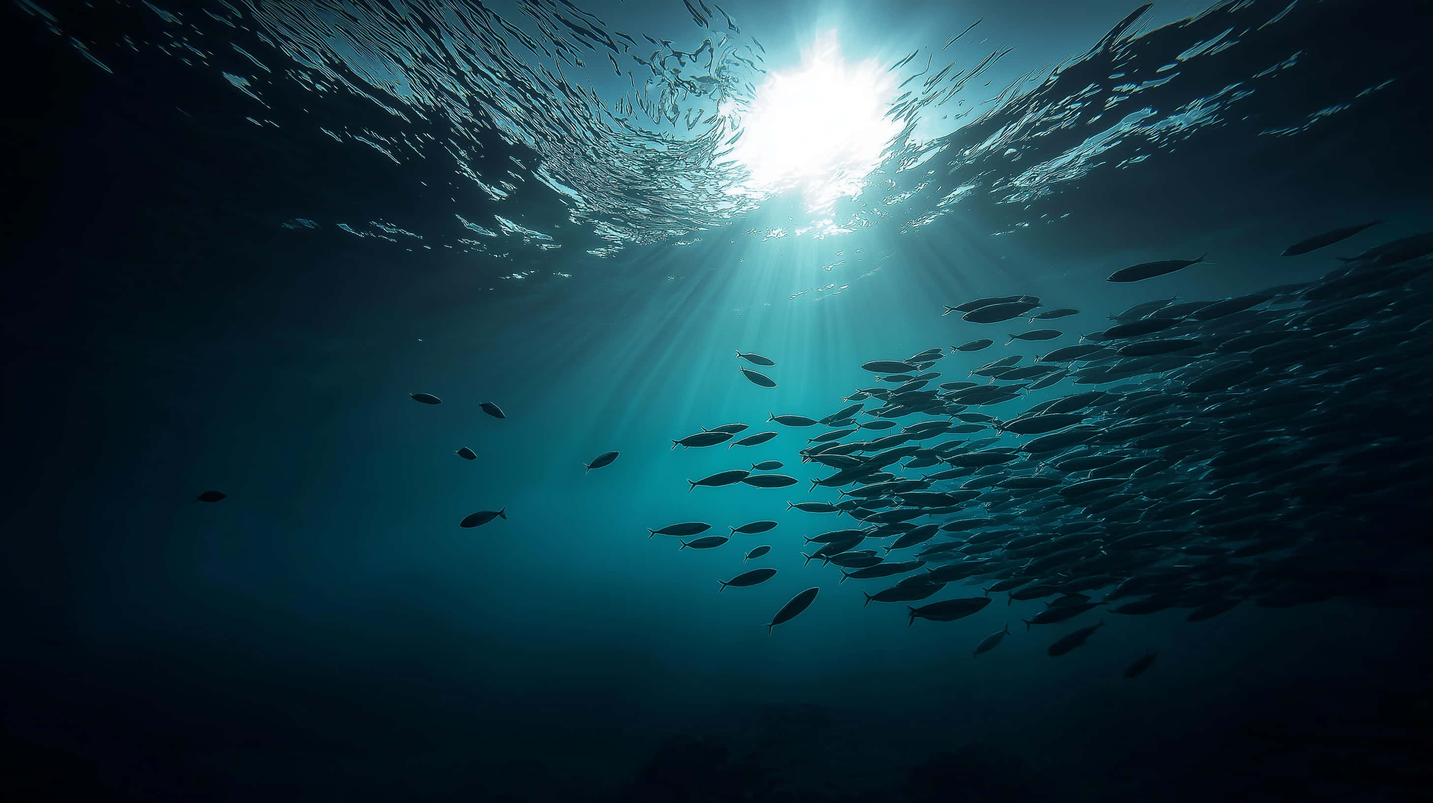 sunlit ocean depths, schooling marine life, sunlight beams, 2K Desktop Wallpaper