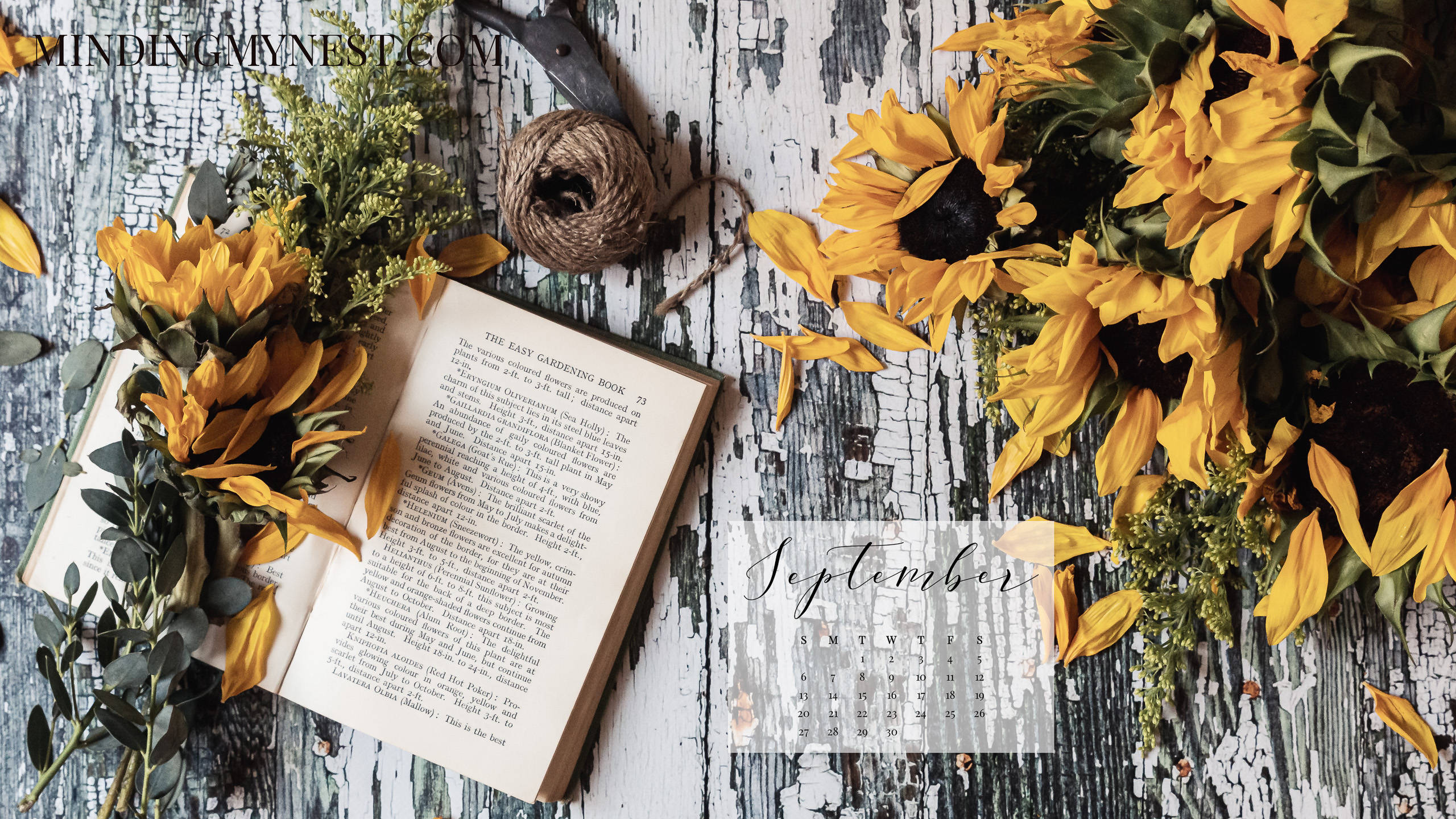 October 2020 Calendar, sunflowers, greenery, 2K Desktop Wallpaper