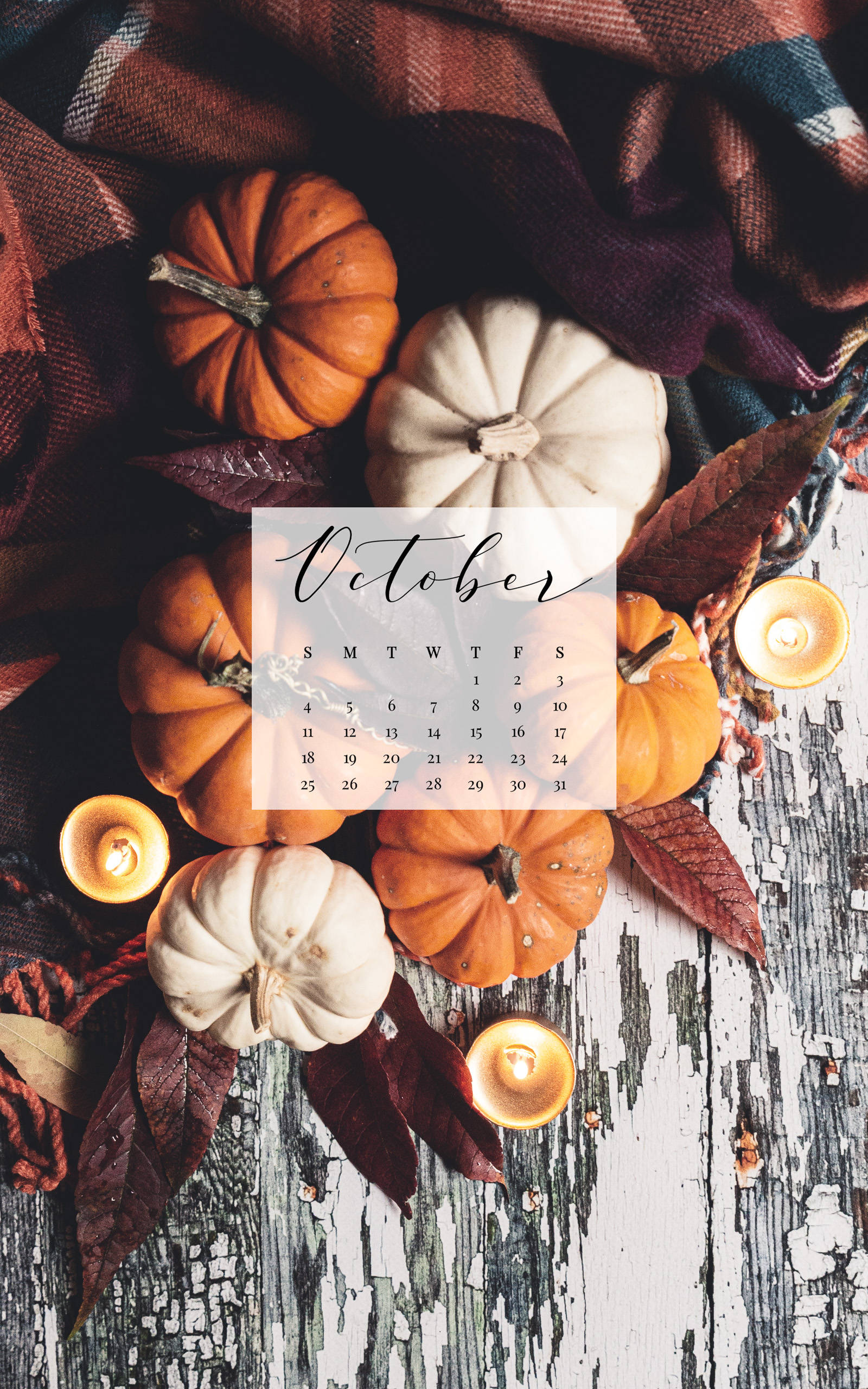 October 2020 Calendar, pumpkins, leaves, 2K Phone Wallpaper