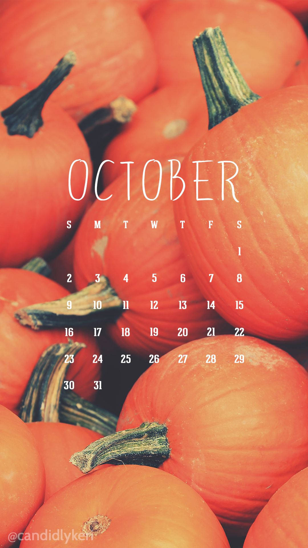 October, pumpkins, textured stems, Full HD Phone Wallpaper