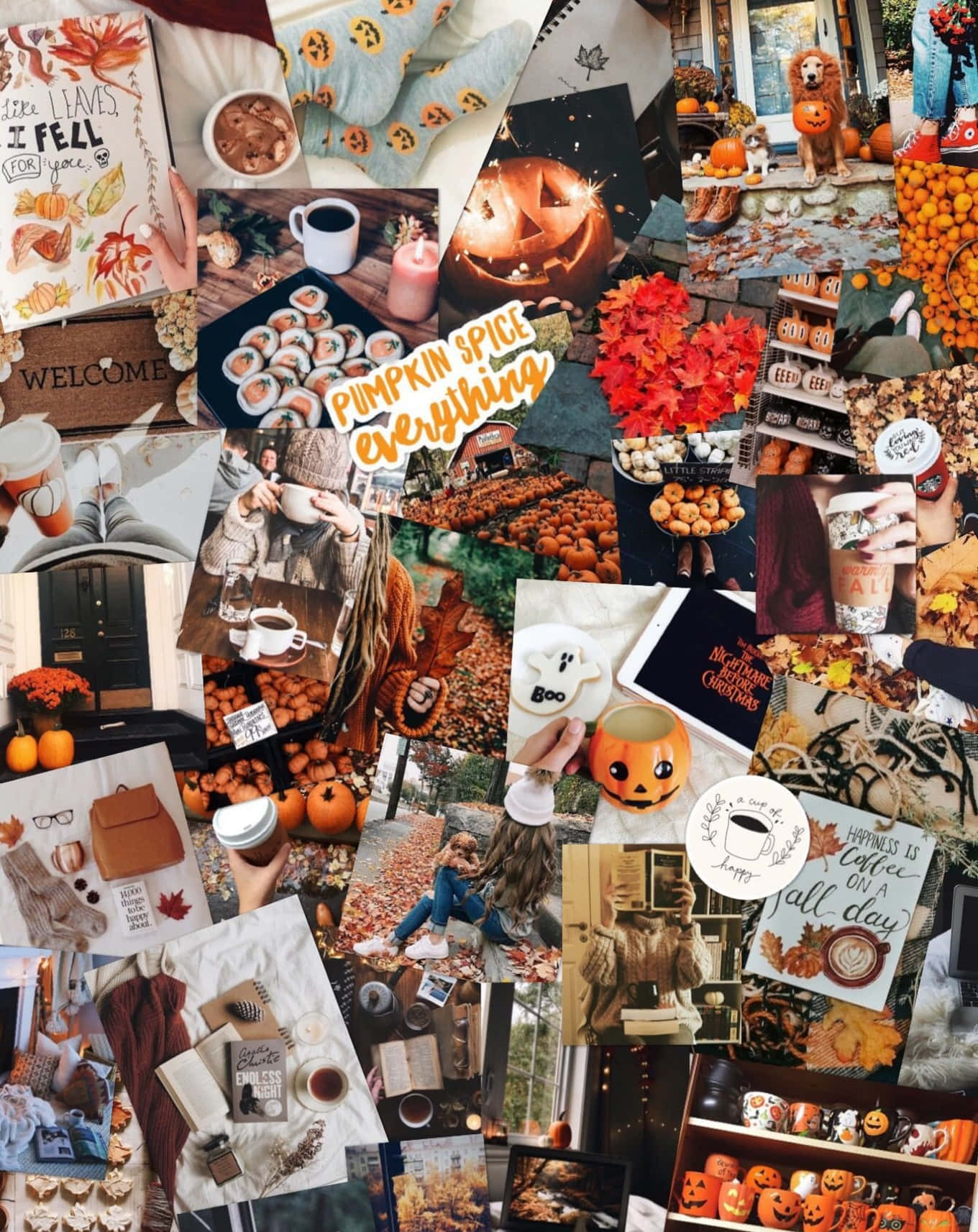 October Aesthetic, pumpkins, cozy sweaters, HD Phone Wallpaper