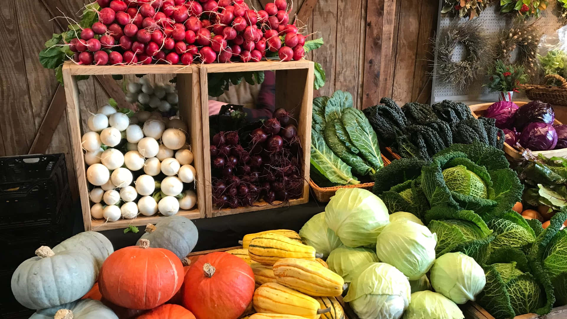 Autumn Bounty, 1920 x 1080, red radishes, Full HD Desktop Wallpaper