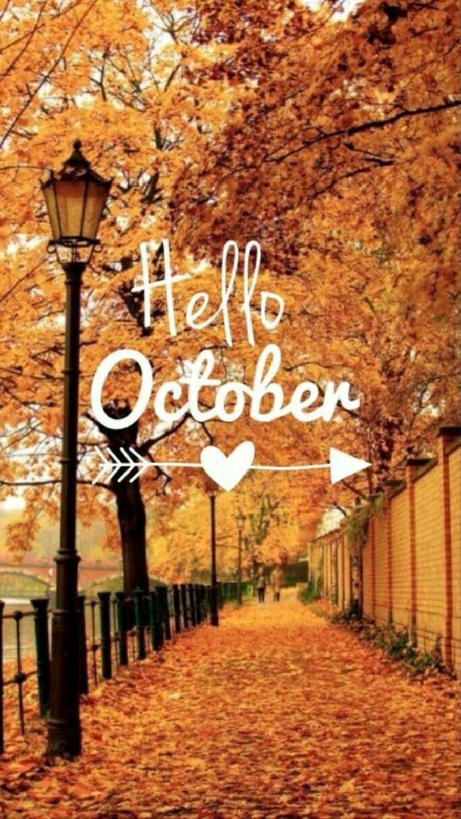October iPhone, autumn pathway, trees, HD Phone Wallpaper