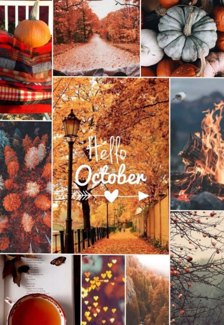 October iPhone, autumn, pumpkins, HD Phone Wallpaper