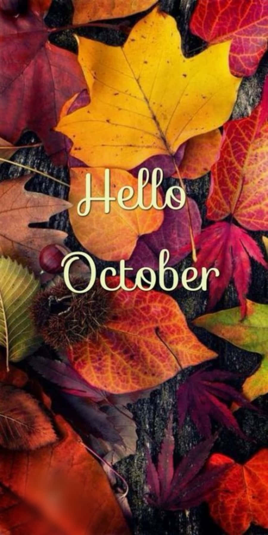 October iPhone, Hello October, red orange, HD Phone Wallpaper