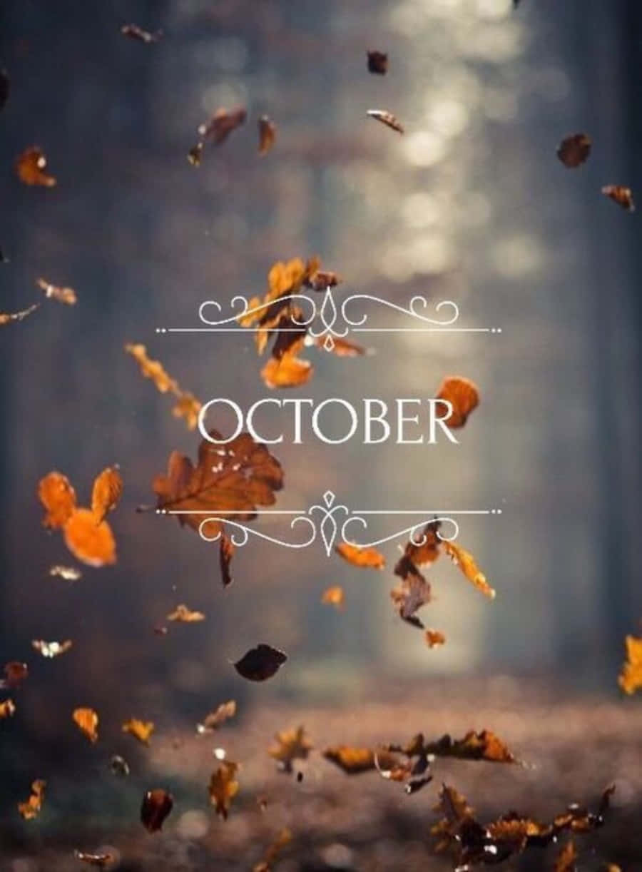 October iPhone, autumn leaves, soft sunlight, SD Phone Wallpaper