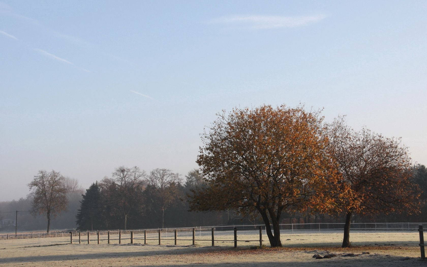 October, morning, field, HD Desktop Wallpaper