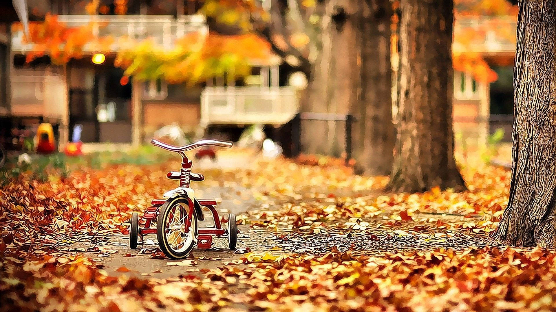 October, autumn, tricycle, Full HD Desktop Wallpaper