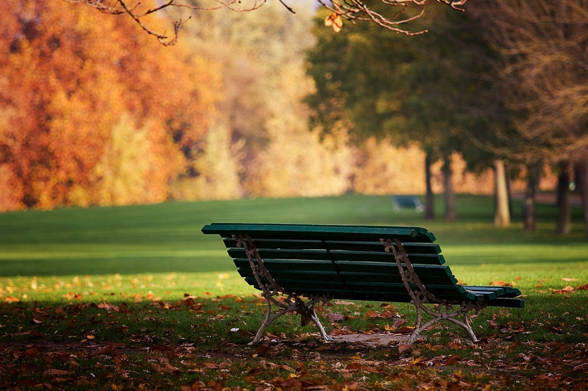 October, lone park bench, green park bench, Full HD Desktop Wallpaper