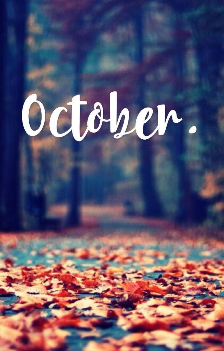 October, forest path, orange autumn leaves, SD Phone Wallpaper