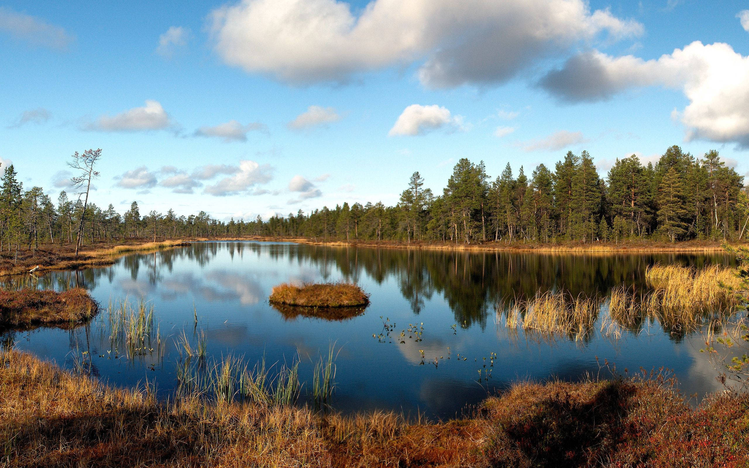 October, autumn landscape, lake, 2K Desktop Wallpaper
