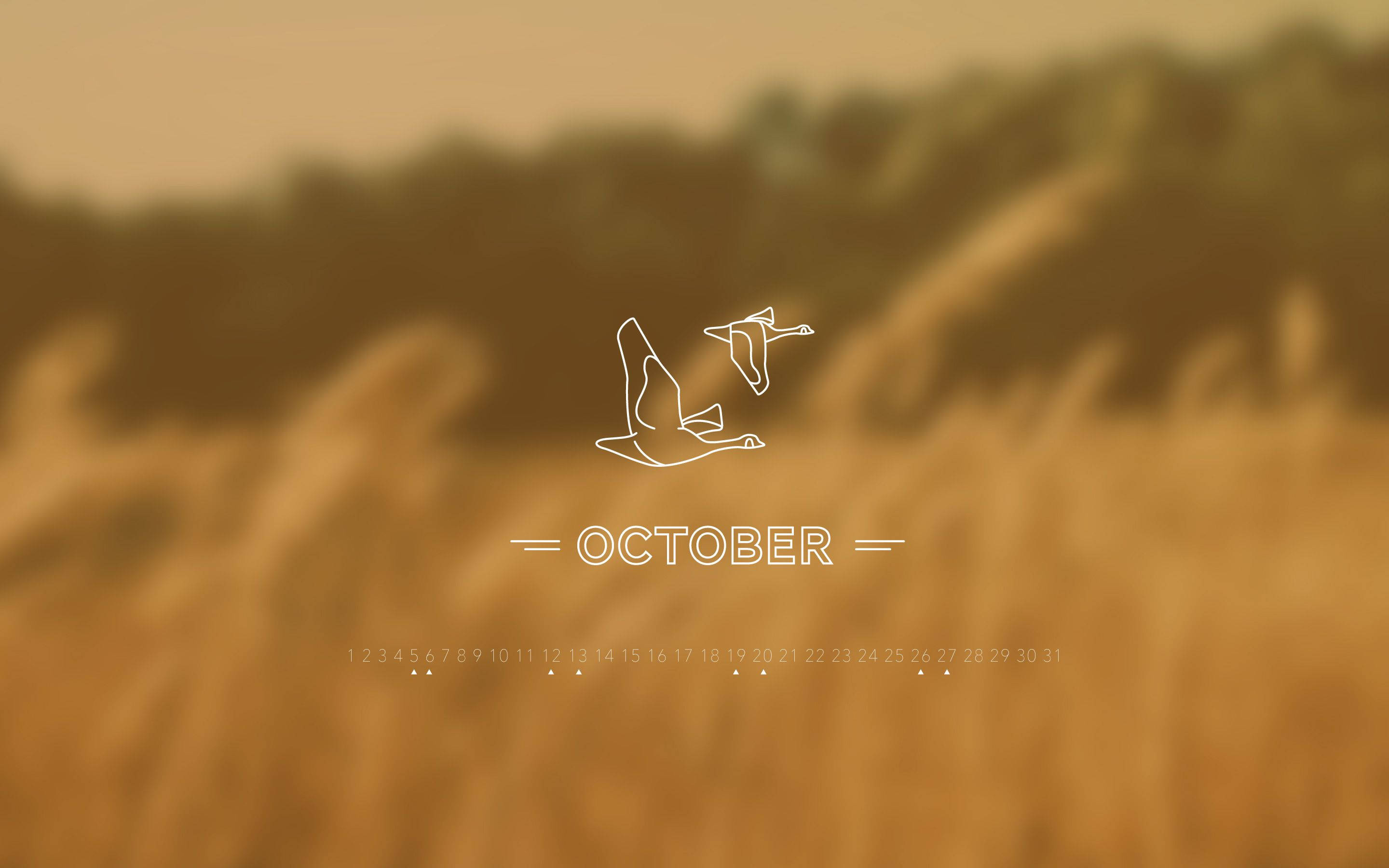 October, golden wheat field, minimalist white line art, 2K Desktop Wallpaper