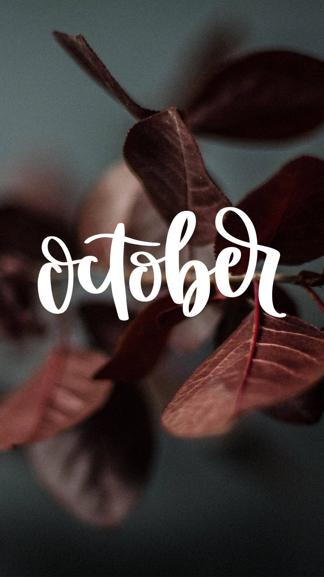 October, burgundy, autumn leaves, Full HD Phone Wallpaper