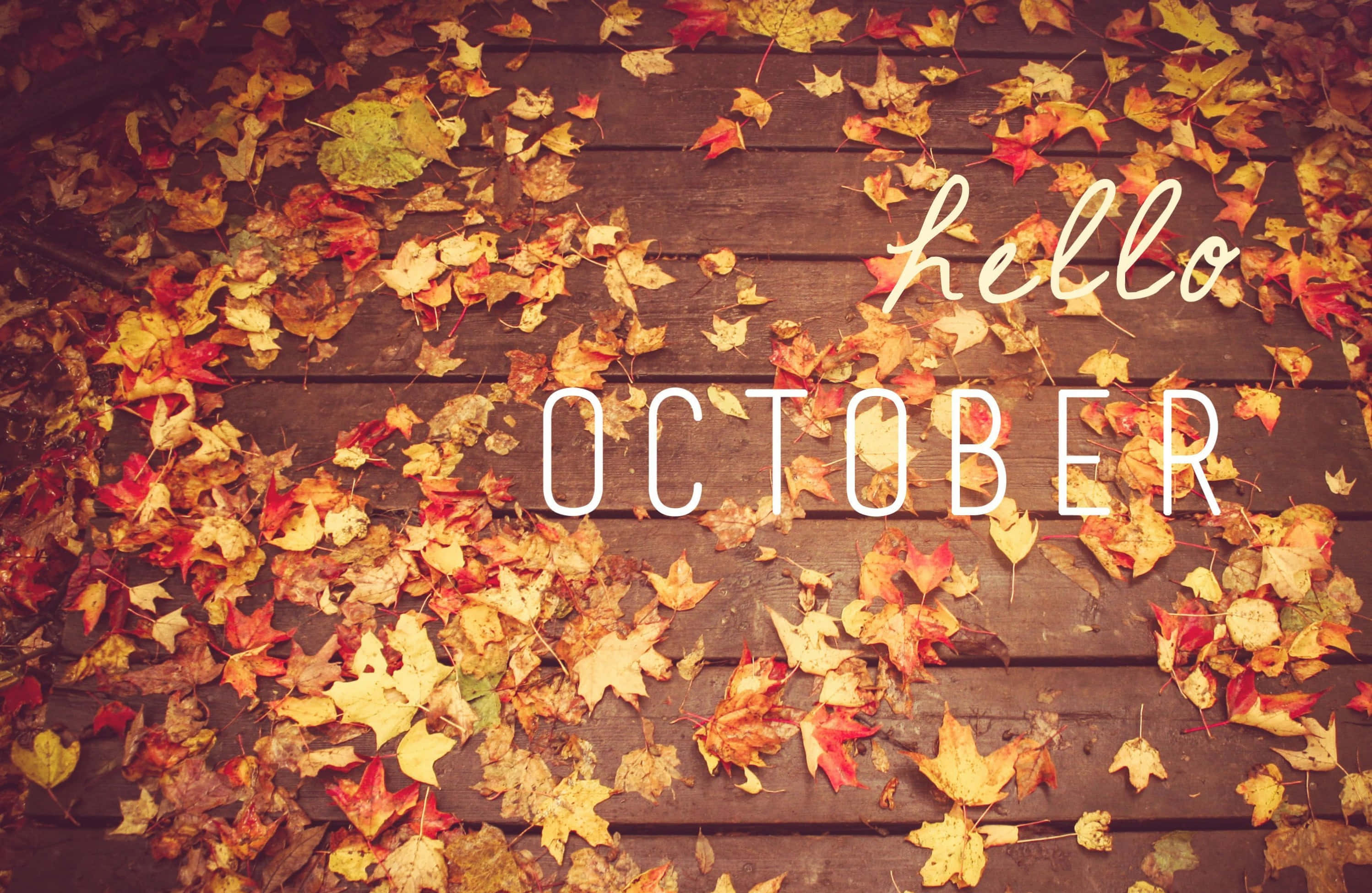 October, hello october, red orange, 2K Desktop Wallpaper