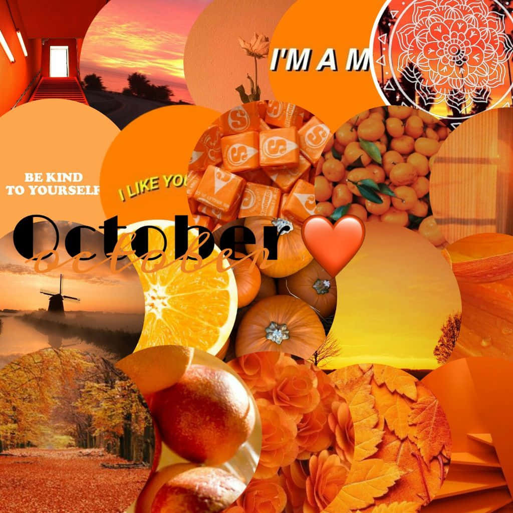 October, orange, pumpkins, SD Desktop Wallpaper
