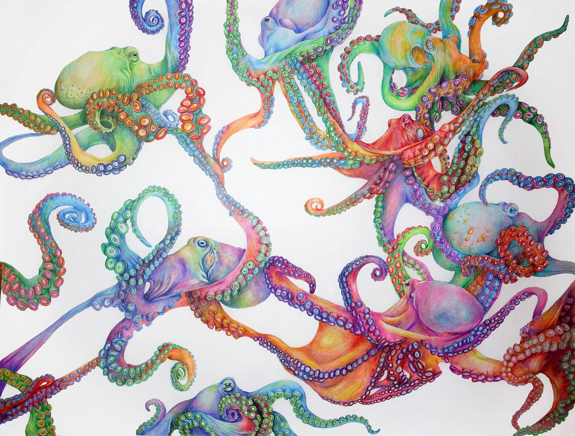 colorful octopuses, swirling tentacles, glowing suction cups, Full HD Desktop Wallpaper