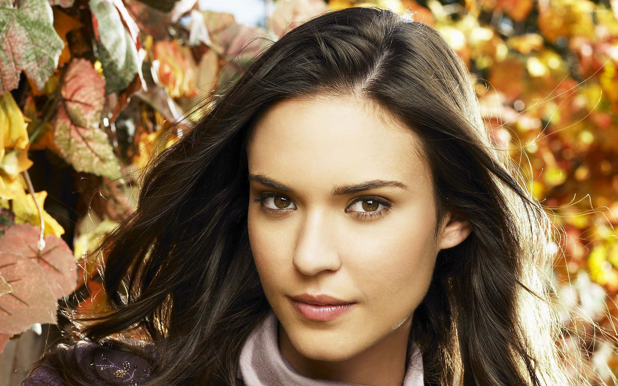 Odette Annable, dark hair, autumn leaves, 2K Desktop Wallpaper