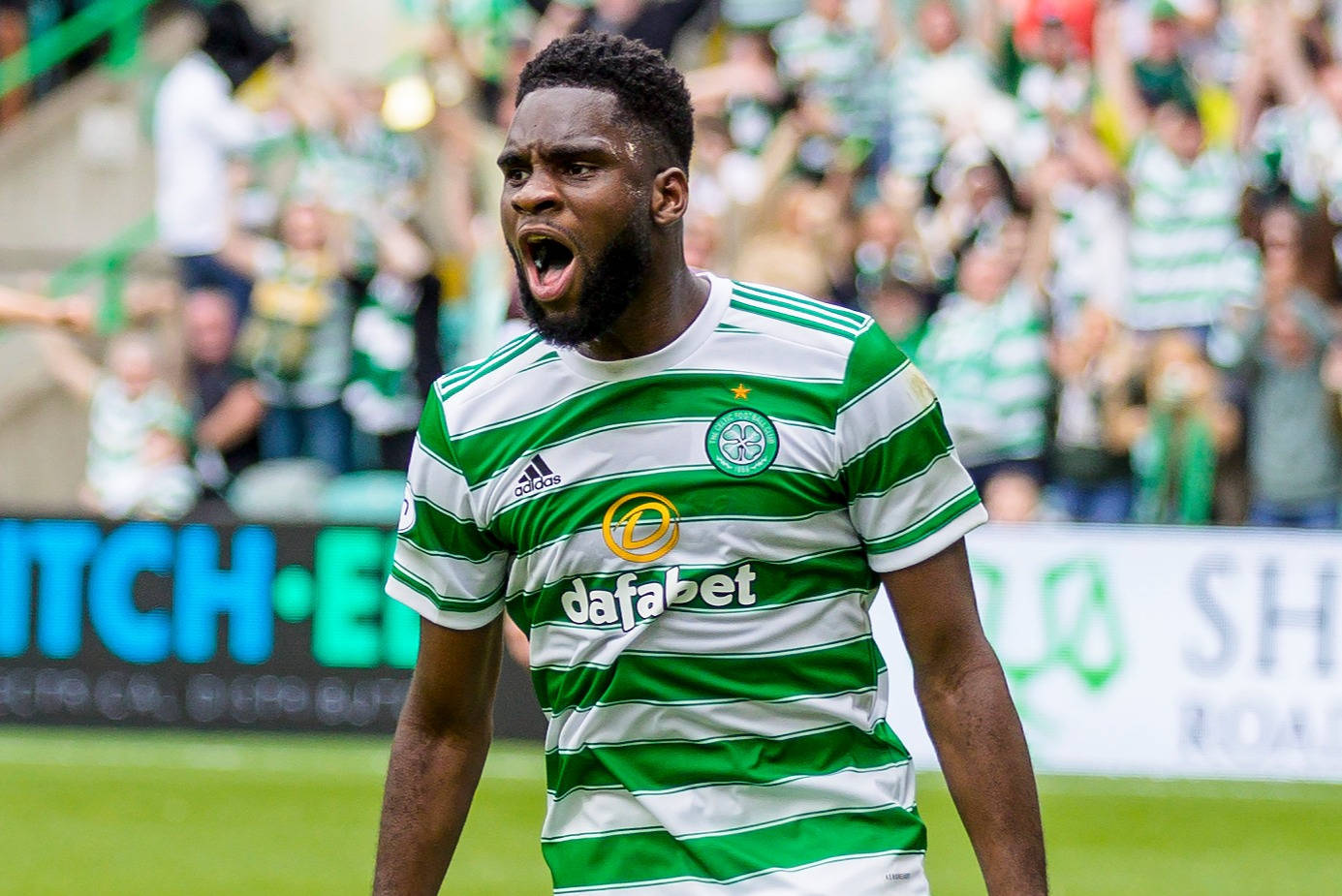 Odsonne Edouard, green and white striped jersey, sunlit pitch, HD Desktop Wallpaper