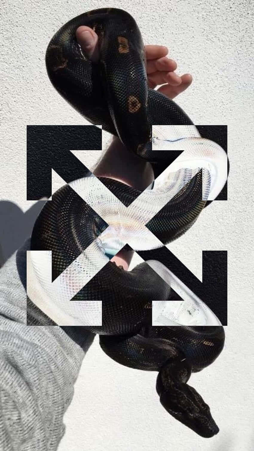Off White, iPhone, black python, HD Phone Wallpaper