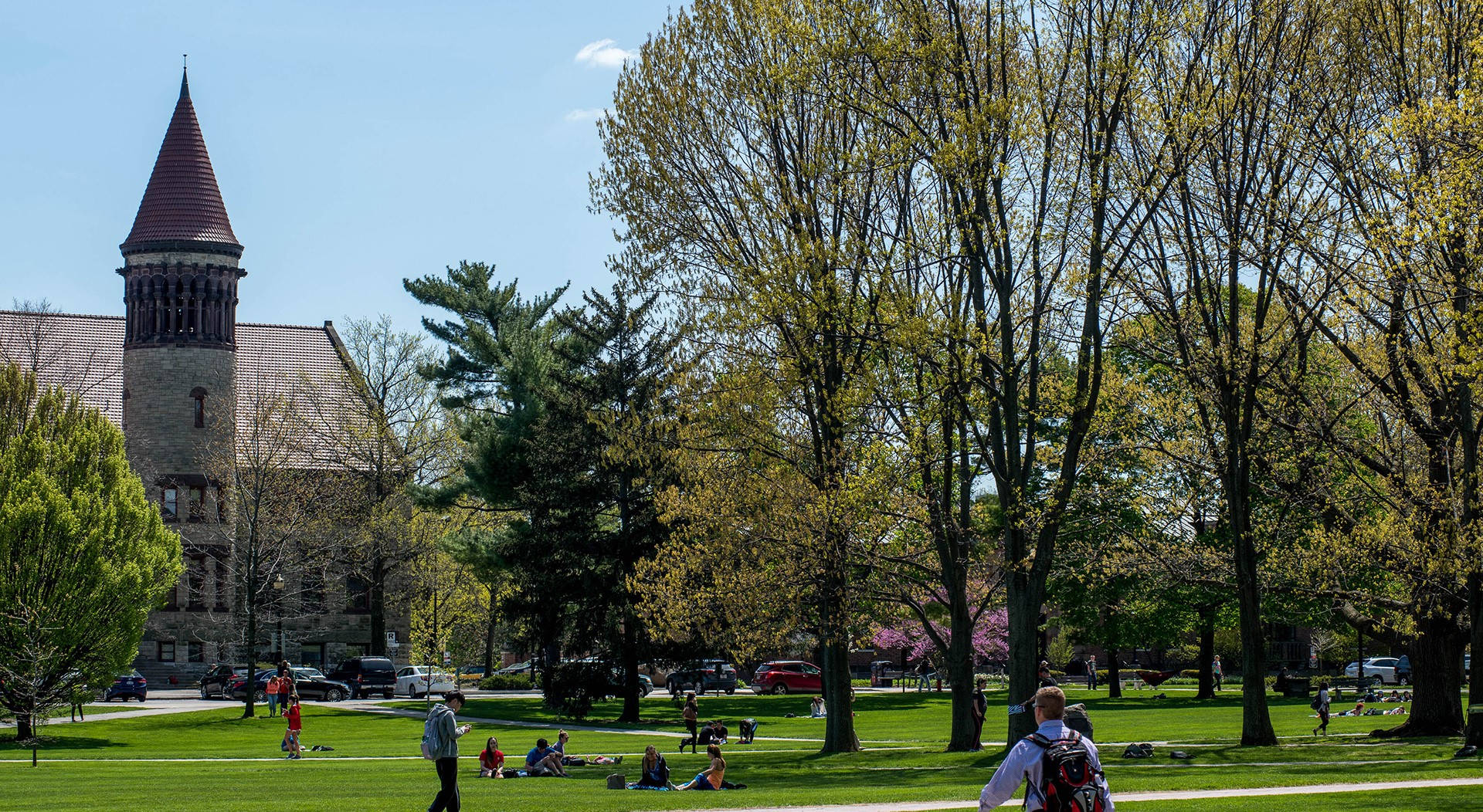 Ohio State University, campus lawn, budding trees, Full HD Desktop Wallpaper