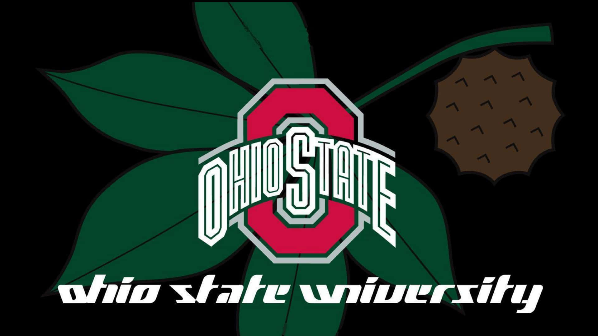 Ohio State University, red block O, green leaves, Full HD Desktop Wallpaper